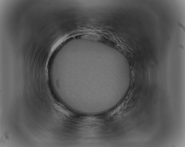 X0000097760246200804041132