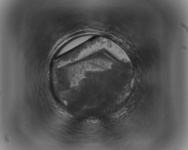 X0000097760247200804041132