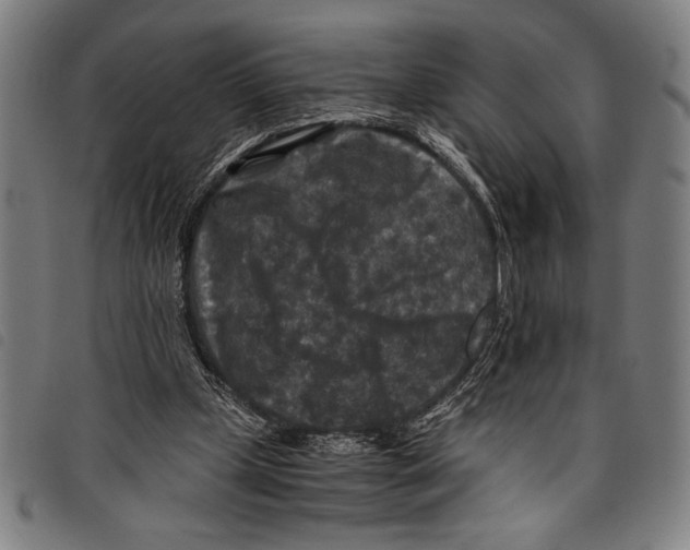 X0000097760249200804041132