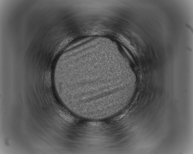 X0000097760250200804041132