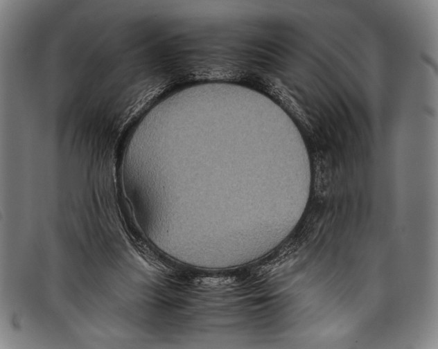 X0000097760251200804041132