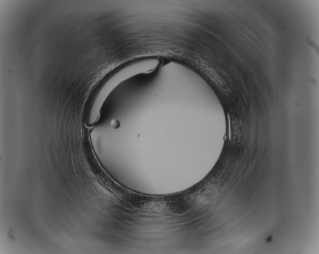 X0000097760252200804041132