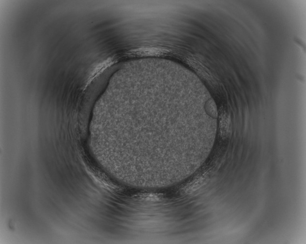 X0000097760254200804041132