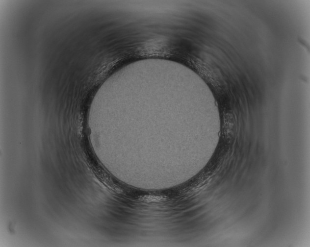 X0000097760255200804041132