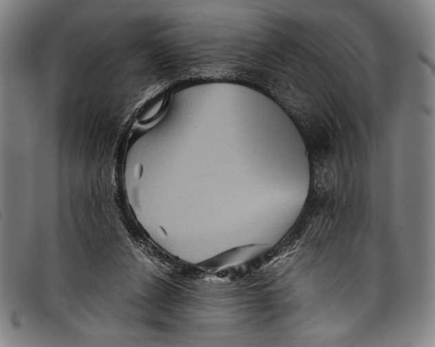 X0000097760256200804041132