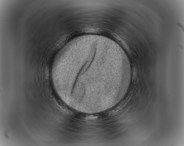 X0000097760257200804041132