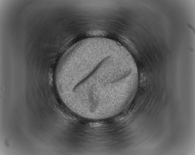 X0000097760259200804041132