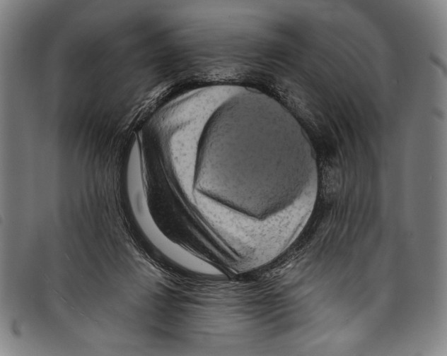 X0000097760260200804041132