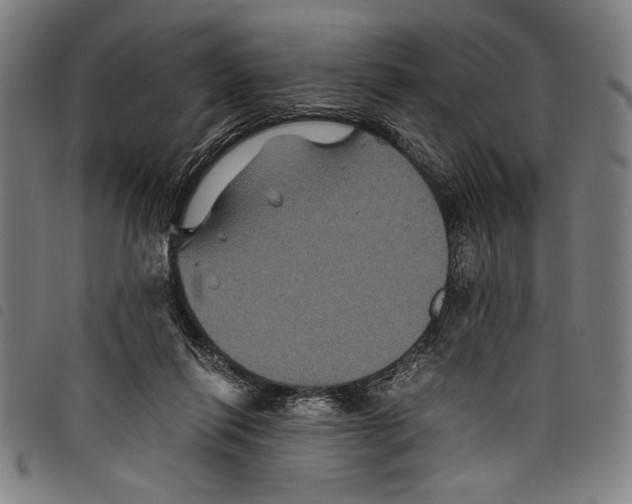 X0000097760262200804041132