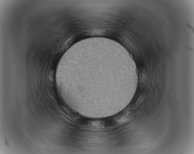 X0000097760264200804041132