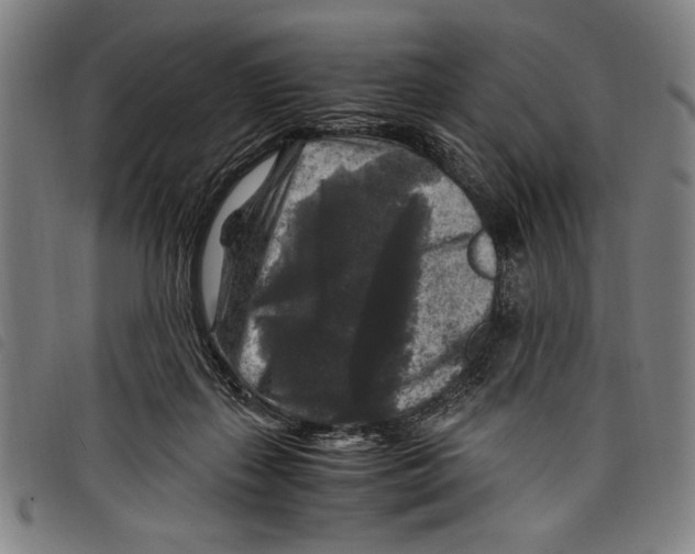 X0000097760267200804041132