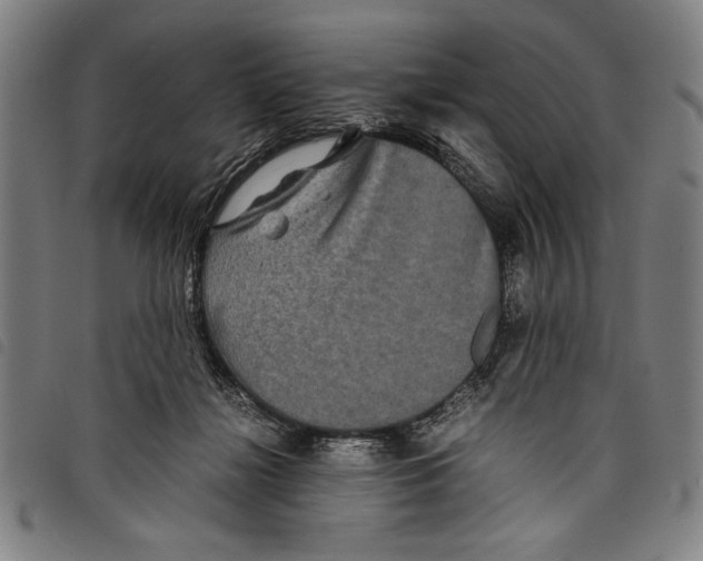 X0000097760268200804041132