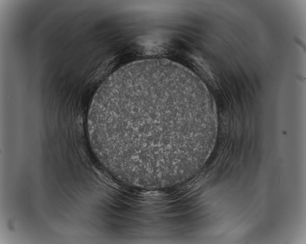 X0000097760269200804041132