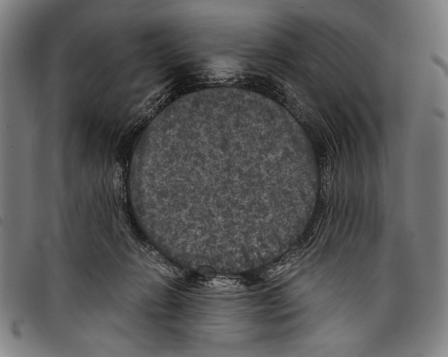 X0000097760270200804041132