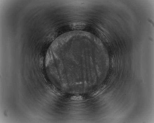 X0000097760271200804041132