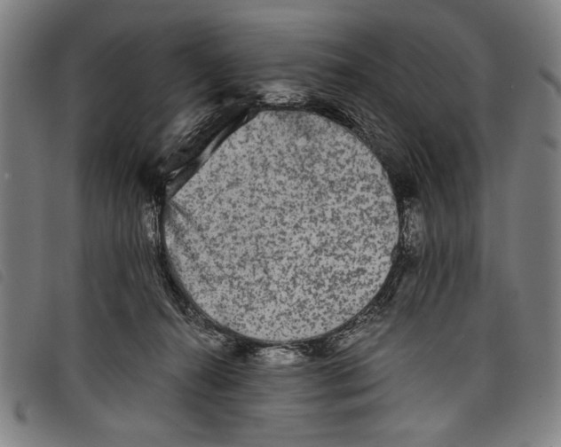 X0000097760272200804041132