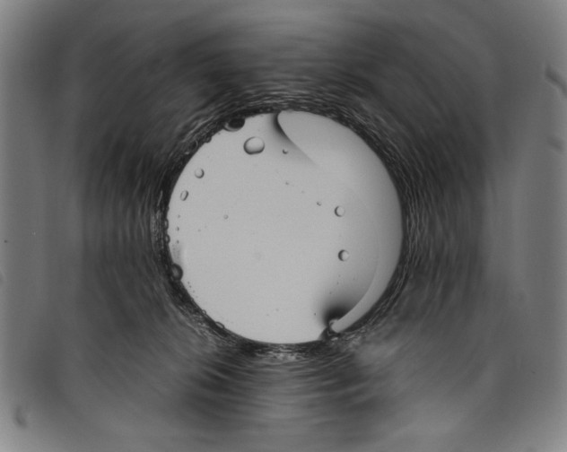 X0000097760276200804041132