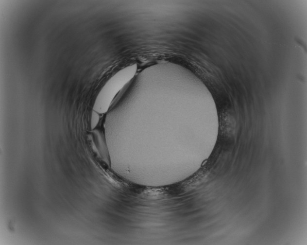 X0000097760280200804041132