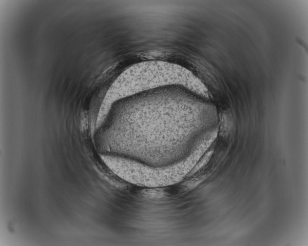 X0000097760284200804041132