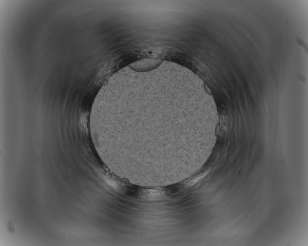 X0000097760286200804041132