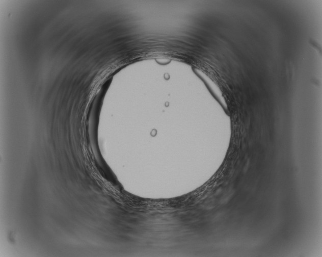 X0000097760289200804041132