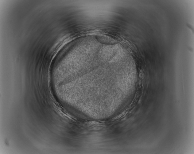 X0000097760290200804041132