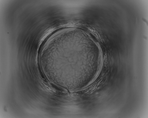 X0000097760292200804041132