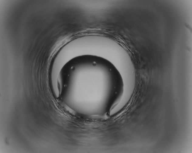 X0000097760293200804041132