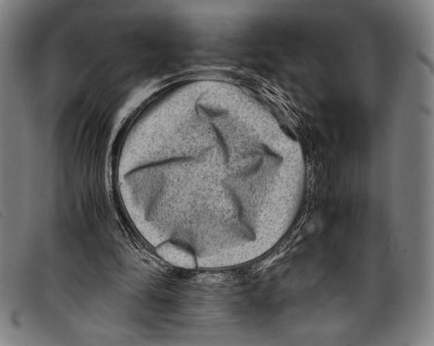 X0000097760294200804041132