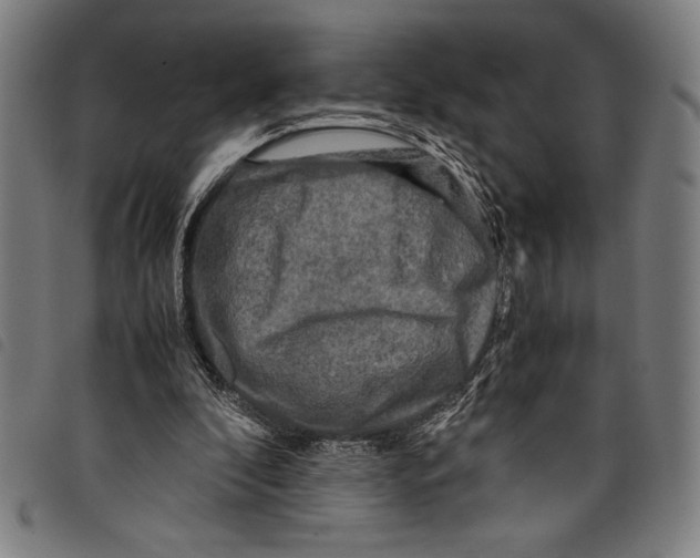 X0000097760296200804041132