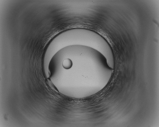 X0000097760297200804041132