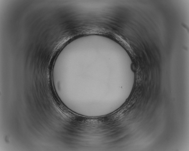 X0000097760298200804041132