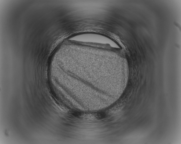 X0000097760299200804041132