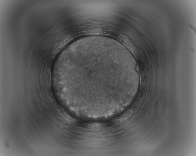 X0000097760301200804041132