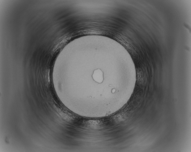 X0000097760302200804041132