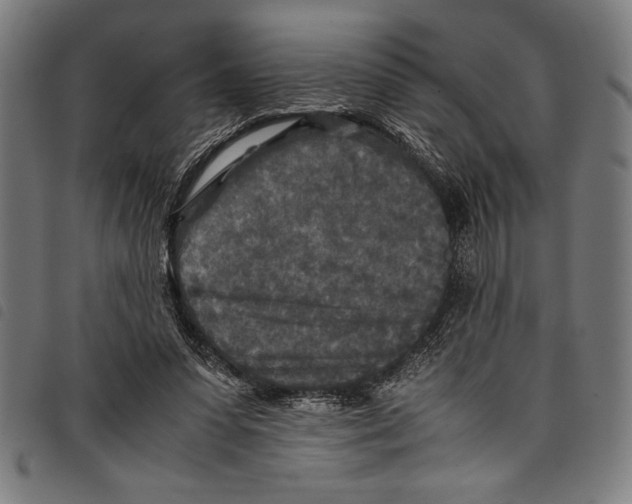 X0000097760303200804041132