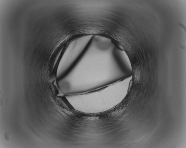 X0000097760304200804041132