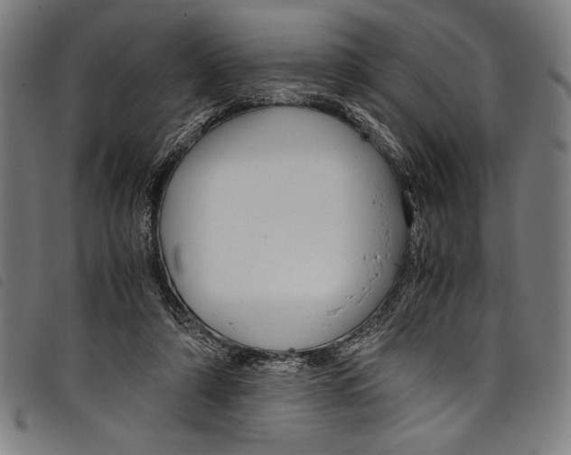 X0000097760306200804041131