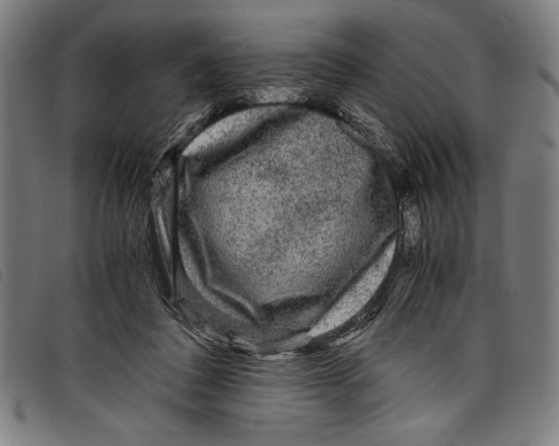 X0000097760308200804041131