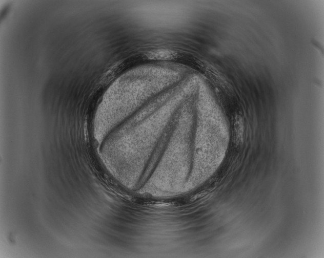 X0000097760312200804041131