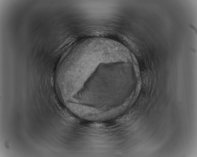 X0000097760313200804041131