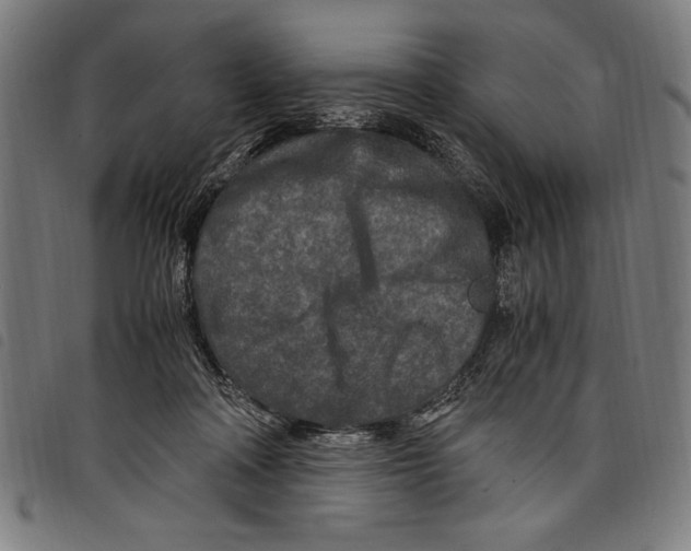 X0000097760314200804041131