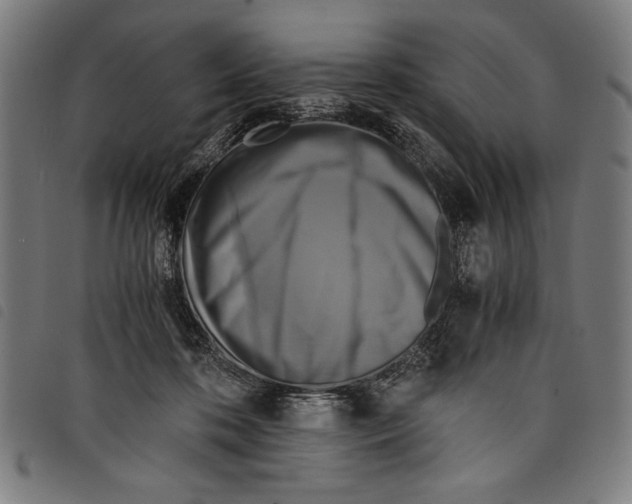 X0000097760316200804041131