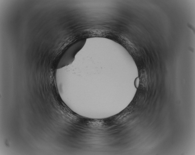 X0000097760318200804041131