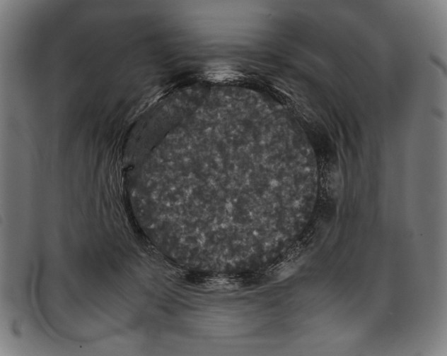 X0000097760319200804041131