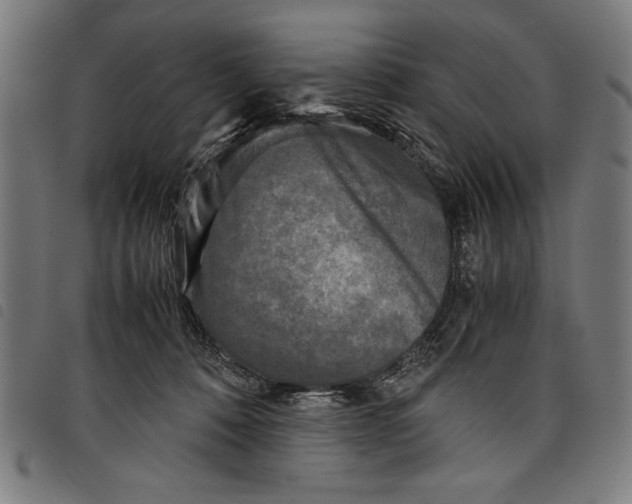 X0000097760320200804041131