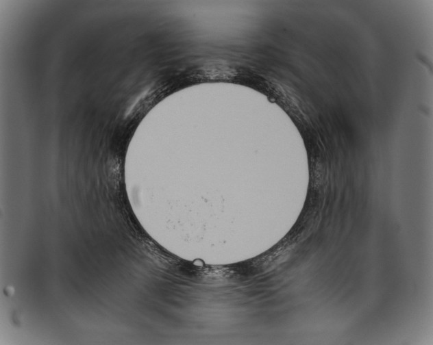 X0000097760321200804041131