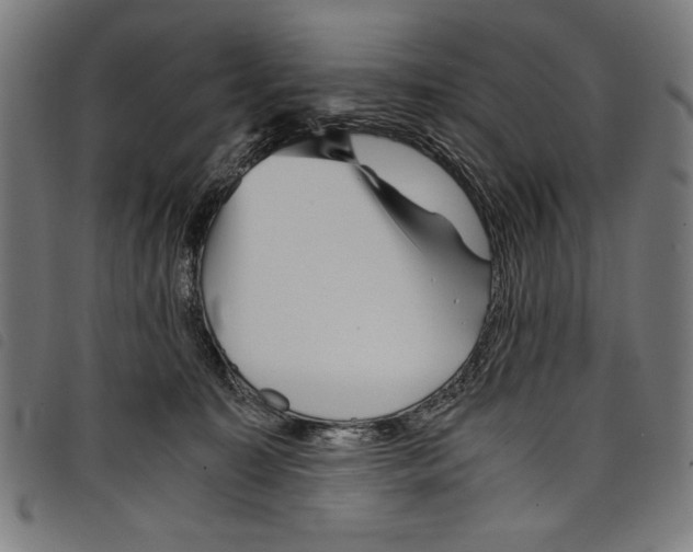 X0000097760323200804041131