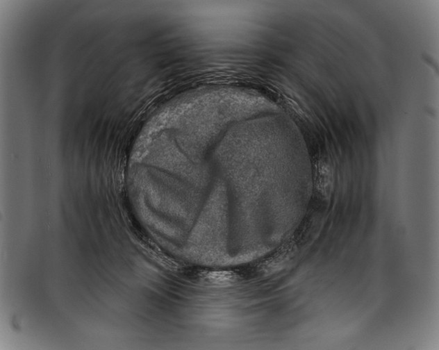 X0000097760324200804041131