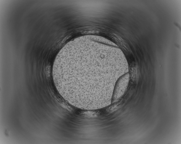 X0000097760326200804041131